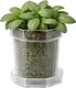 Миниатюра изображения товара Вазон BOTANICA Glass с поддоном (12x12см, прозрачный)