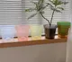 Миниатюра изображения товара Вазон BOTANICA Glass с поддоном (12x12см, прозрачный)