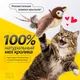 Миниатюра изображения товара Игрушка для кошек Pet Paws Птичка интерактивная / TS260104