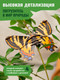 Миниатюра изображения товара Конструктор Makebug Bring Nature Home Бабочка Парусник / MB-C-0006