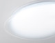 Миниатюра изображения товара Потолочный светильник Ambrella FZ1601 FR