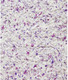 Миниатюра изображения товара Жидкие обои Bioplast 973