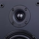 Миниатюра изображения товара Мультимедиа акустика Radiotehnika S-10NA (черный)