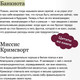 Миниатюра изображения товара Художественная книга МИФ Учитель. Вечные истории (Бронте Шарлотта)