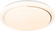 Миниатюра изображения товара Потолочный светильник ESCADA 10227/SG LED APP (белый)
