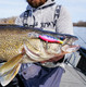 Воблер Rapala Harvest Shad 07 / HVSD07-G — фото 5