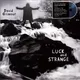 Виниловая пластинка Sony Music Gilmour David - Luck And Strange — фото 4
