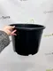 Миниатюра изображения товара Набор горшков для рассады GreenTerra С25 (10шт)