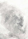 Миниатюра изображения товара Пленка самоклеящаяся универсальная Color Dekor 2031 (0.45x8м)