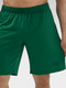 Миниатюра изображения товара Шорты спортивные FN Bounce / FN4272001-354 (L, темно-зеленый)
