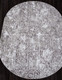 Миниатюра изображения товара Ковер Merinos Silver F390-OVAL-GRAY (1x2)