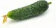 Миниатюра изображения товара Семена Агрофирма Партнер Огурец Меренга F1 (5шт)
