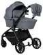Миниатюра изображения товара Детская универсальная коляска Farfello 2в1 Baby shell / BS-12 (серый/черная рама)