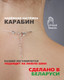 Миниатюра изображения товара Чокер Wolves Аквамарин 2011 (голубой)