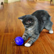 Игрушка для кошек KONG Cat Treat Dispensing Ball / 256817 — фото 6