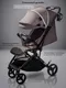 Миниатюра изображения товара Детская прогулочная коляска Amarobaby Ride AB25-10RIDE/54 (темно-бежевый)