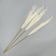 Миниатюра изображения товара Сухоцвет Sima-Land Пампасная трава 10629663