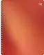 Миниатюра изображения товара Тетрадь BG Сияние / Т5гр80_пл 62630 (80л, оранжевый)