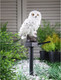 Миниатюра изображения товара Садовая фигура-светильник Luazon Lighting Полярная сова / 7322823