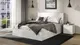 Миниатюра изображения товара Двуспальная кровать ТриЯ Хилтон универсальная тип 1 160x200 (ателье светлый/белый)