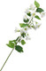 Искусственная ветка Poetry in flowers Колокольчик Кампанулла / 10935339 (белый) — фото 6