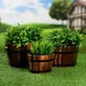 Миниатюра изображения товара Набор кашпо Take It Easy 7072671