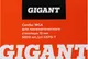 Миниатюра изображения товара Скобы Gigant GSPS-7 (5000шт)