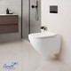 Миниатюра изображения товара Унитаз подвесной Cerutti Spa Amici Aria Tornado / CT11388