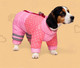 Миниатюра изображения товара Комбинезон для животных Пижон Горошек / 6968550 (р.14, розовый)