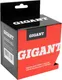 Миниатюра изображения товара Щетка для электроинструмента Gigant G-110445L
