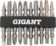 Миниатюра изображения товара Набор бит Gigant G-11334 (10шт)
