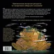 Миниатюра изображения товара Раскраска-антистресс АСТ Иччи, ворон Кутх и другие духи сибирских сказаний (Мартынова Т.)