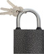 Миниатюра изображения товара Замок навесной Lockland 6884226