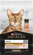 Миниатюра изображения товара Сухой корм для кошек Pro Plan Elegant с лососем (10кг)