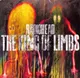 Миниатюра изображения товара Виниловая пластинка XL Recordings Radiohead - The King Of Limbs