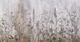 Фотообои листовые Mio Tesoro Цветы и Растения 179 (500x260) — фото 5