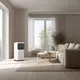 Миниатюра изображения товара Мобильный кондиционер AC Electric Diona ACE-09 TR/N6