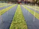 Миниатюра изображения товара Укрывной материал GreenTerra Агроткань Терратекс UV ПП 180 130г/м2 (черный)