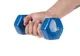 Миниатюра изображения товара Гантель Sundays Fitness WD1453 (3кг, синий)