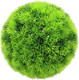 Искусственное растение ForGarden Самшит Grass BN11245 (зеленый) — фото 2