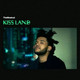 Виниловая пластинка Republic Records Weeknd - Kiss Land — фото 4