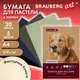 Миниатюра изображения товара Набор бумаги для рисования Brauberg Art / 117755 (20л)