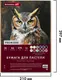 Миниатюра изображения товара Набор бумаги для рисования Brauberg Art / 117759 (36л)