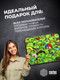 Миниатюра изображения товара Коврик для мыши Cactus Frogs CS-MPC-D09M