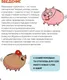 Миниатюра изображения товара Энциклопедия Махаон Финансовая грамотность для детей (9785389275089)