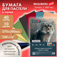 Миниатюра изображения товара Набор бумаги для рисования Brauberg Art / 117768 (40л, 10цв)