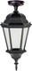 Светильник уличный Oasis Light Astoria 2 91405LA cover Bl — фото 3