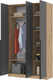 Шкаф Стендмебель Лион ШК-05 3-х створчатый (графит серый/дуб крафт золото) — фото 5