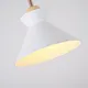 Миниатюра изображения товара Потолочный светильник Imperiumloft OMG1 / 179775-26