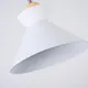Миниатюра изображения товара Потолочный светильник Imperiumloft OMG1 / 179775-26